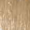 Light ash blonde (9C)